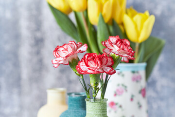 Carnation flowers and yellow tulips on bright background