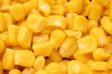Sweet corn kernels. Sweet yellow canned corn. Fresh corn kernels. Slowly rotating in a circle	
