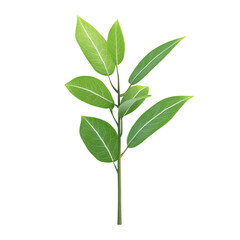 Fototapeta premium Green leaf sprig on colorful striped background nature plant foliage botanical