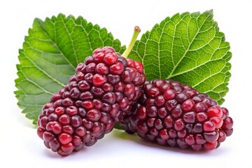 Fototapeta premium raspberry on white background