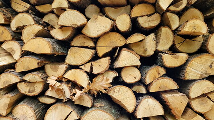 Stack of firewood close up