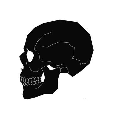 Human skull jead sillhouette design vector,black human skull head,skull head on black imange,himan skull head on black background 