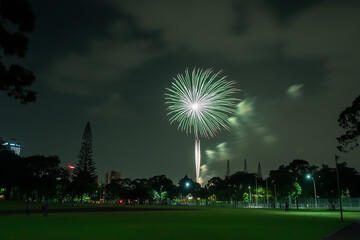 A beautiful display of green and white fireworks exploding over a dark park at night, with trees and city lights visible in the background, creating a peaceful yet celebratory scene.