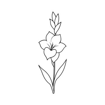 black and white flower drawing clip art preview