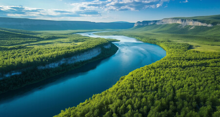 Obraz premium Beautiful aerial view of a green forest with a river, a top-down perspective, high resolution.