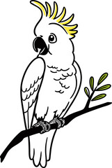 vector illustration of a parrot