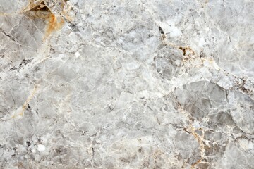 Fototapeta premium Grey and White Marble Texture with Gold Veins