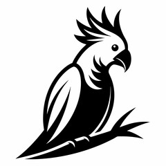 vector illustration of a parrot