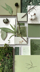 botanical moodboard with green tones moss leaves and natural textures