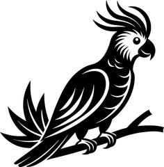 parrot on white background