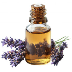 Lavender essential oil bottle with flowers aromatherapy spa treatment relax on transparent background