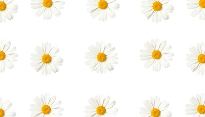 A charming white daisy flower pattern on vibrant, colorful backgrounds—perfect for a fresh, cheerful, and nature-inspired look.
