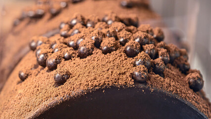 A delicious dark chocolate cake topped with cocoa powder and chocolate balls.