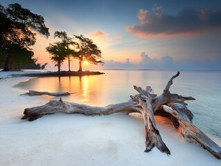 Fototapeta premium Serene sunrise over a tropical beach with driftwood
