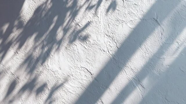 Subtle palm leaf shadows move rhythmically across a textured white surface in bright sunlight. Ideal for nature-themed backgrounds, relaxation visuals, spa videos, or elegant minimalist motion design.