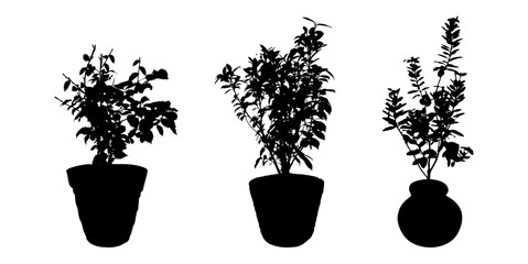 Silhouette Potted Plants Vector | Decorative Plant Pot Shadows