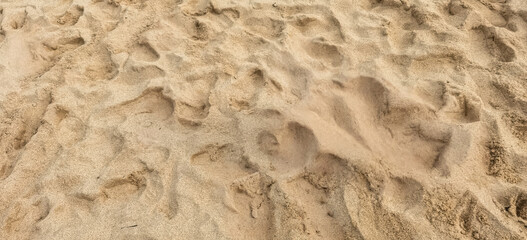 Intricate footstep patterns etched onto the beach's golden sand surface