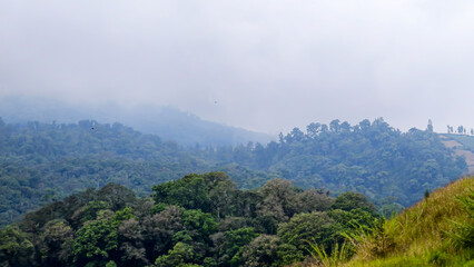 Obraz premium Lush Green Mountain Landscape Covered in Mist Creates Serene Atmosphere