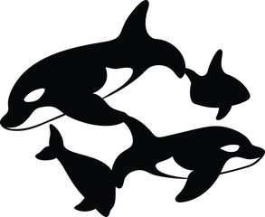 Fototapeta premium Unified Orca Family – Graceful Ocean Life Illustration