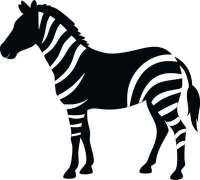 Bold Contrast Zebra &ndash; Dynamic Animal Illustration with Strong Patterns