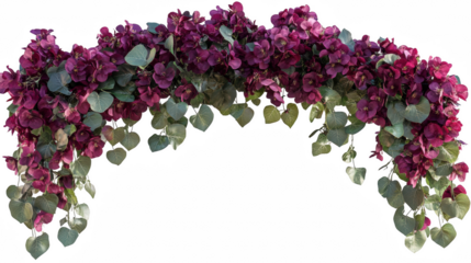 Elegant arch of deep purple flowers and green leaves on a PNG transparent background