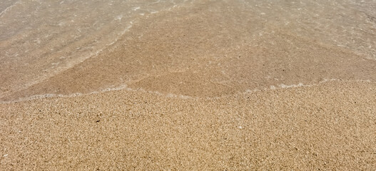 Subtle Interaction of Gentle Waves and Coastal Sand Creates a Tranquil Scene