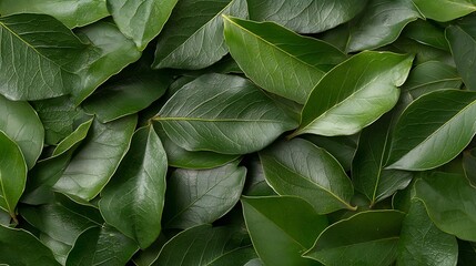 Fototapeta premium Spring flora illustration nature's beautiful flowers and leaves in vibrant green environment