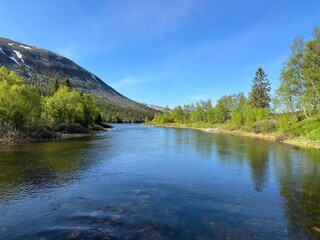 River winds through a lush valley, under a bright blue, cloudless sky, on a sunny day in north Sweden.