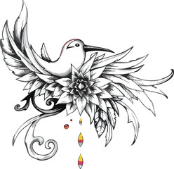 black and white bird