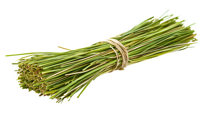 Forced Perspective Vetiver Grass on White Background