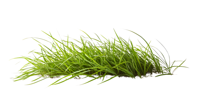 Creative Forced Perspective Isolated Green Grass on White Background