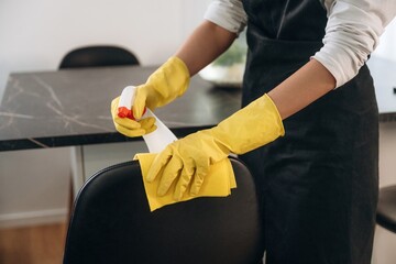 Obraz premium Female professional cleaning service worker is domestic room