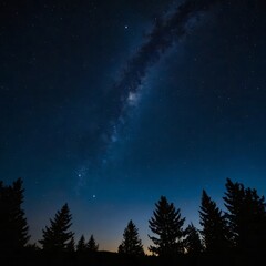 Fototapeta premium starry night sky