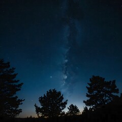 Fototapeta premium night sky with stars