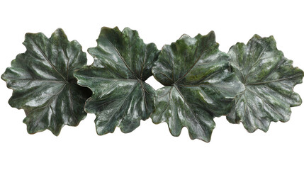 Fototapeta premium Elegant arrangement of four textured green leaves against PNG transparent background
