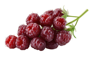 Fresh Red Raspberries on White Background, Perfect for Culinary, Food, and Health Concepts. Juicy berry branch.