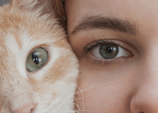 eyes close up of human and cat. two halves of pet and human face. biology concept