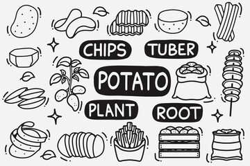 set of potato doodle good for background, wallpaper, icon, element design, etc