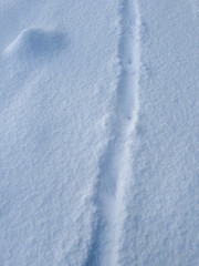 Obraz premium 雪原に刻まれた道筋