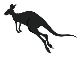Kangaroo silhouette isolated on white background