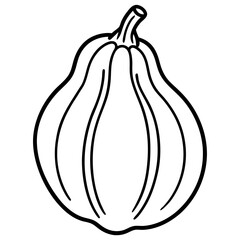 Chayote Botanical Vector Illustration