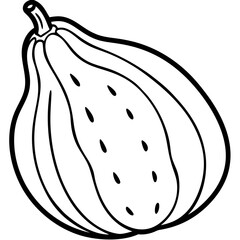 Chayote Botanical Vector Illustration