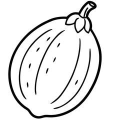 Chayote Botanical Vector Illustration