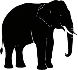 Fototapeta premium elephant animal silhouette transparent background illustration vector logo design digital icon symbol sign