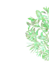 Watercolor style hand painted plants design