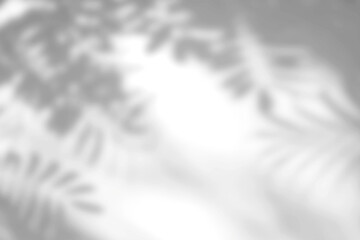 Obraz premium Abstract blurred background with shadows of leaves creating a soft, airy effect