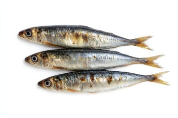 Obraz premium Three fresh sardines on a white background.