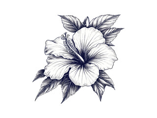 Vintage botanical decor, hand-drawn hibiscus flower engraving, spring and summer flower sketch, antique tropical plant illustration, retro garden print, Black line art, trendy floral design