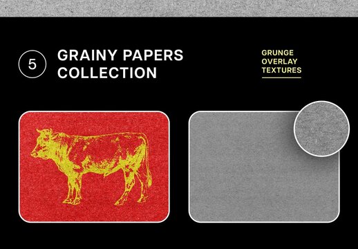 Grainy Paper Overlays Collection