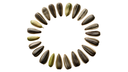 Sunflower Seeds Circle: A circle of sunflower seeds arranged against a white background, creating a visually appealing and symmetrical pattern.  Perfect for food blogs, packaging.